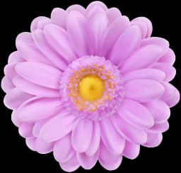 imagen flor morada