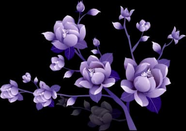 Imagen flor morada